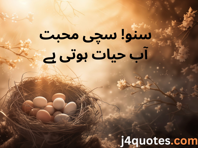 Urdu Quotes About Life and Love