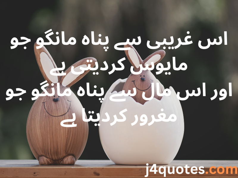 Urdu Quotes About Life and Love