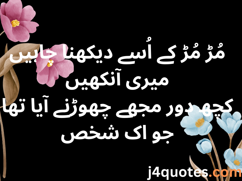 Urdu Quotes About Life and Love