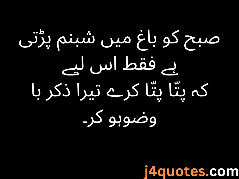  Allama Iqbal Quotes/Poetry in Urdu