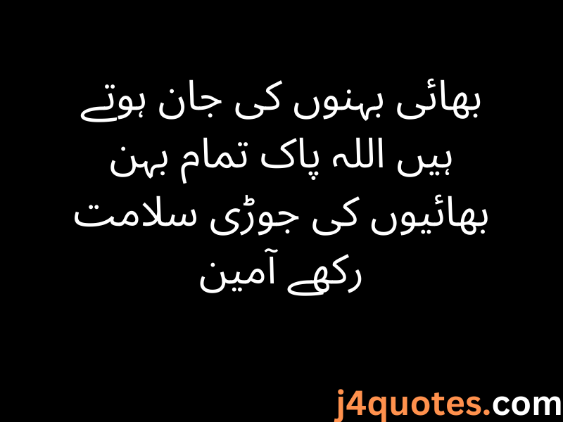 Brother Quotes in Urdu