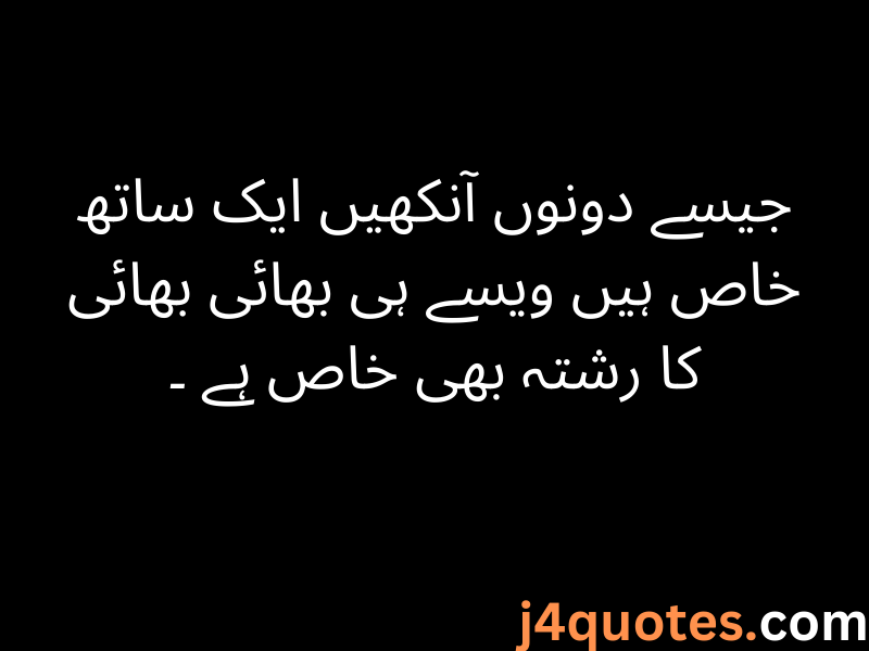 Brother Quotes in Urdu