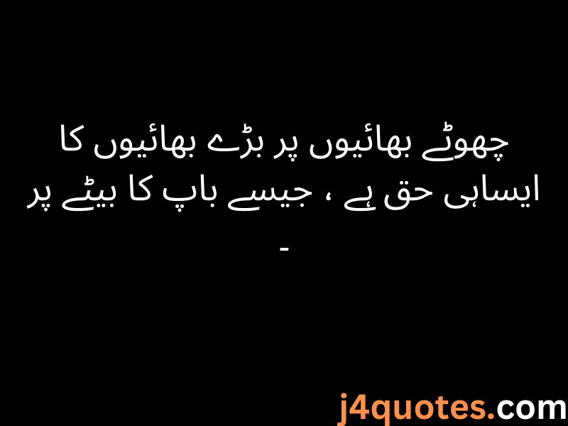 Brother Quotes in Urdu