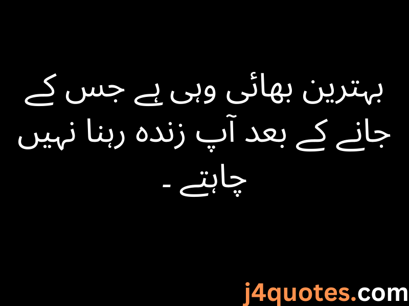 Brother Quotes in Urdu