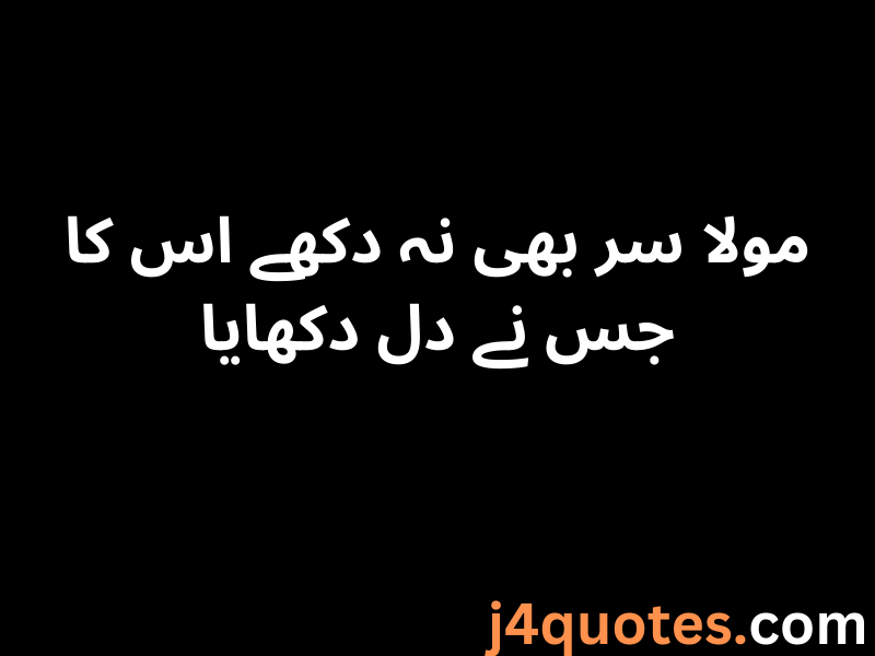 One Line Quotes in Urdu