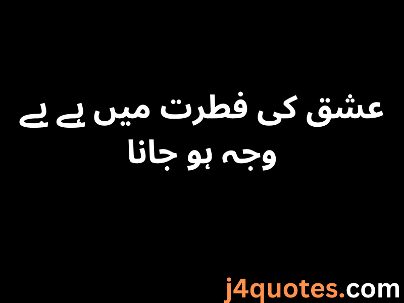 One Line Quotes in Urdu