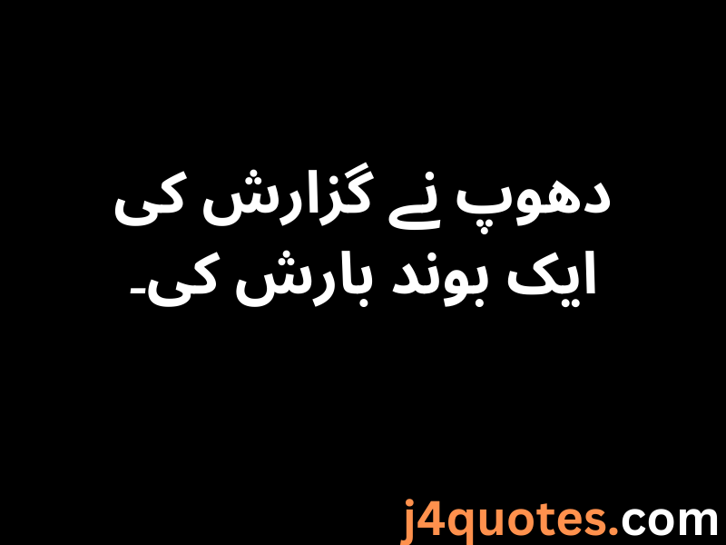 30+ Rain Quotes in Urdu