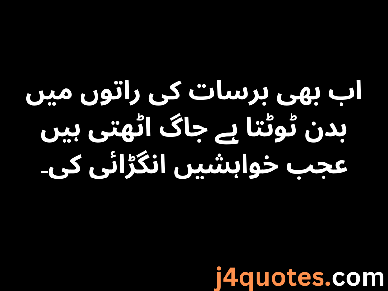 30+ Rain Quotes in Urdu