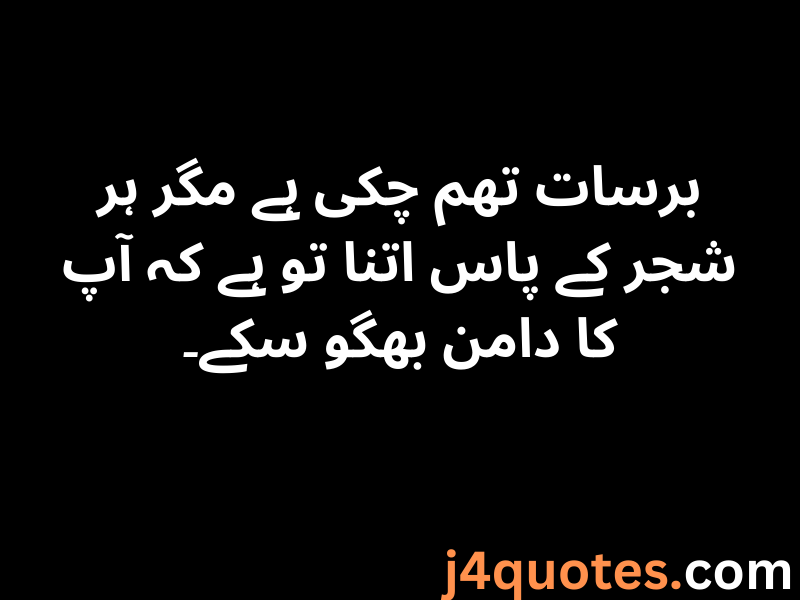 30+ Rain Quotes in Urdu